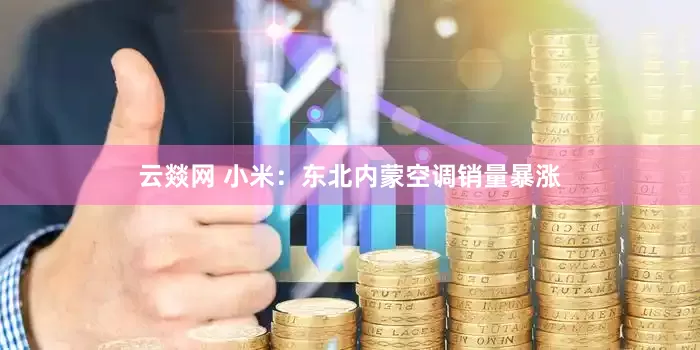 云燚网 小米：东北内蒙空调销量暴涨