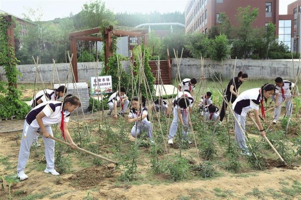 融易盈 在浸润式教育中成长